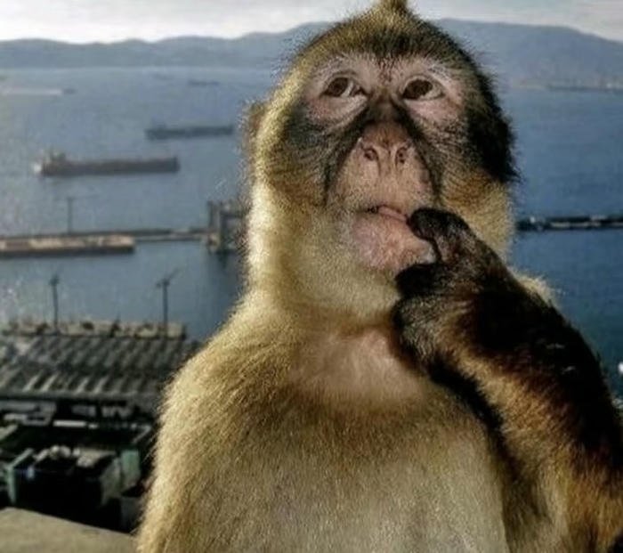 Ảnh đại diện meme vui nhộn nổi bật