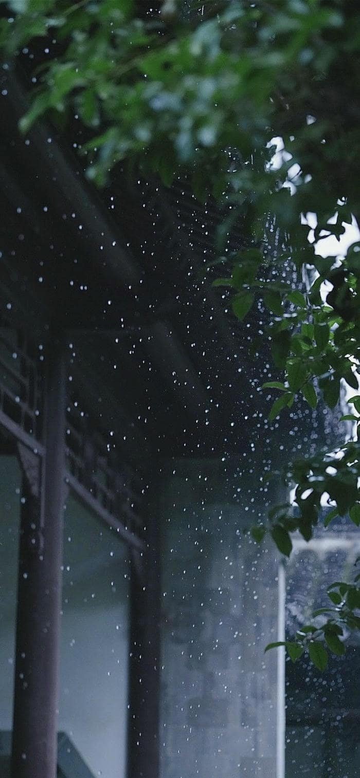 Ảnh mưa lãng mạn chiều tối