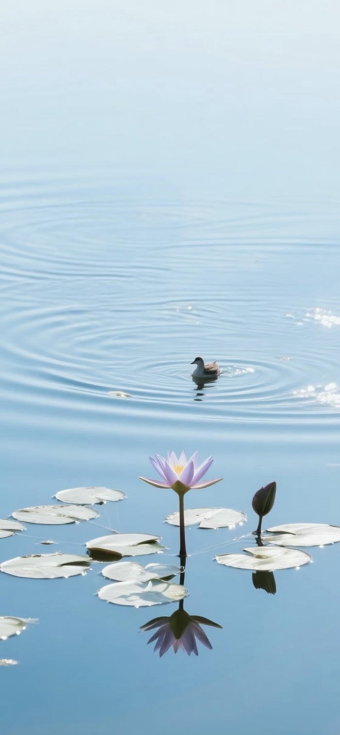 Ảnh nền mặt hồ yên bình thư thái