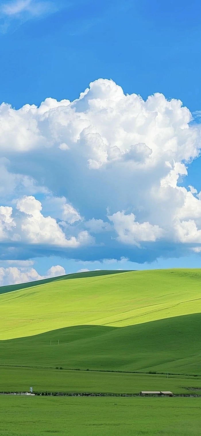 Ảnh nền thảo nguyên xanh lá mây trắng