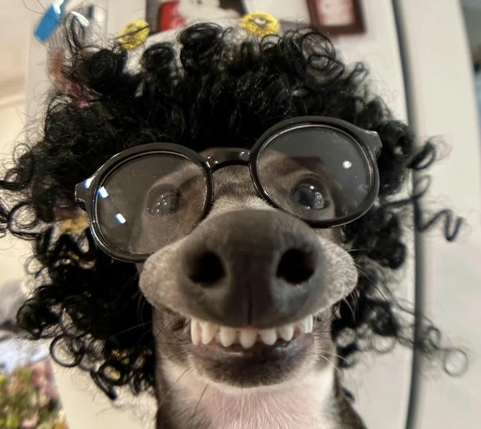 Avatar mặt icon vui dễ thương