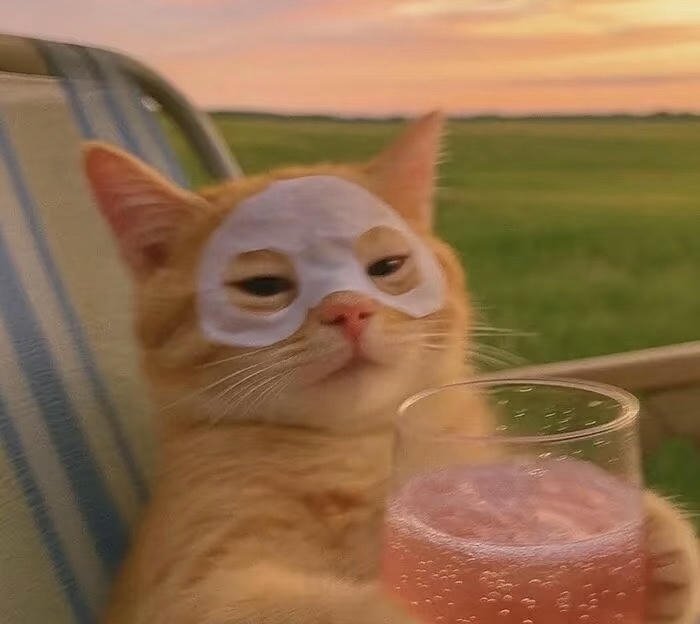 Avatar thú cưng cute màu sắc dịu