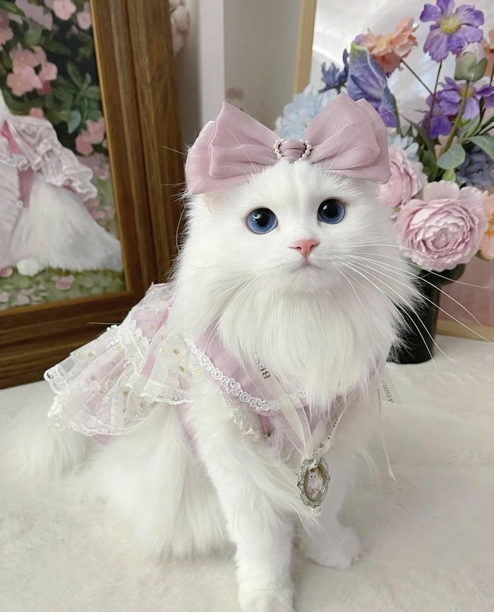 Avatar thú cưng cute thiết kế đơn giản