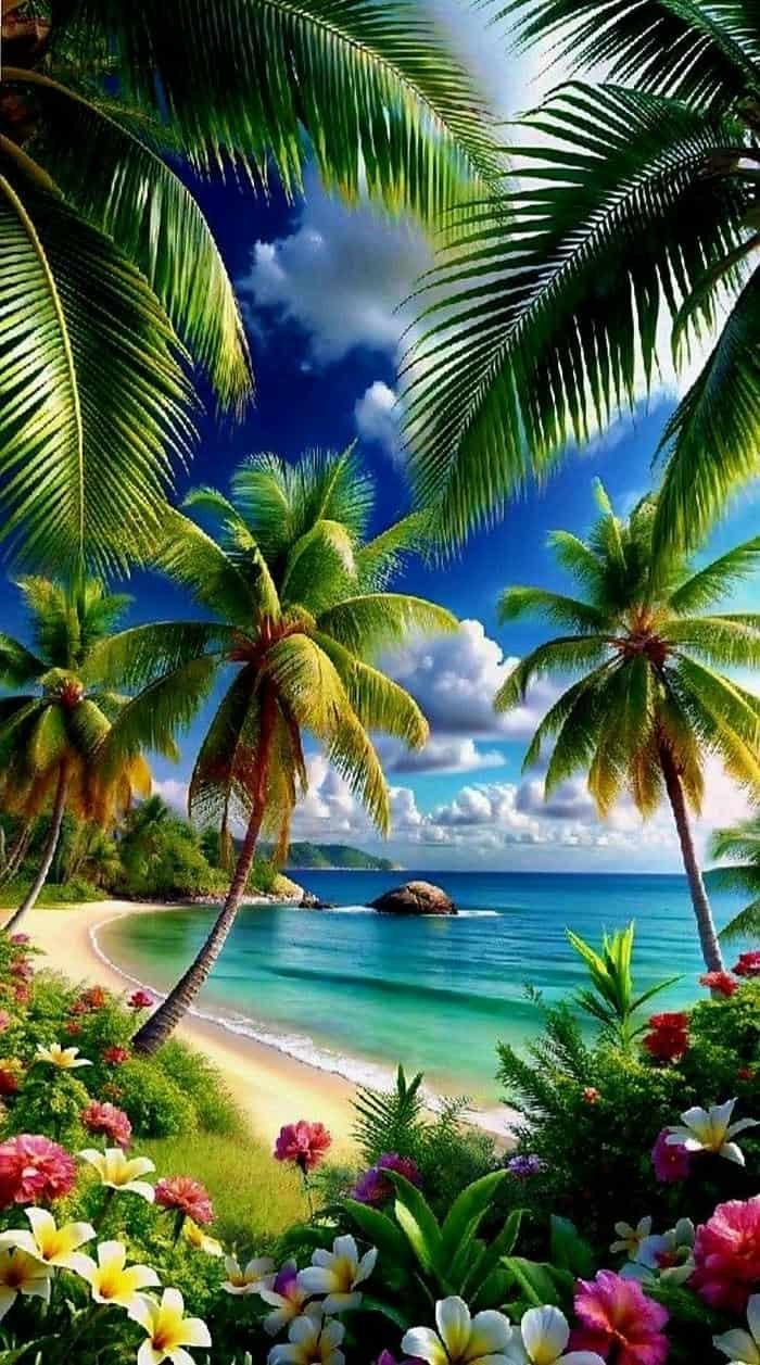 Hình ảnh biển nhiệt đới ánh sáng dịu