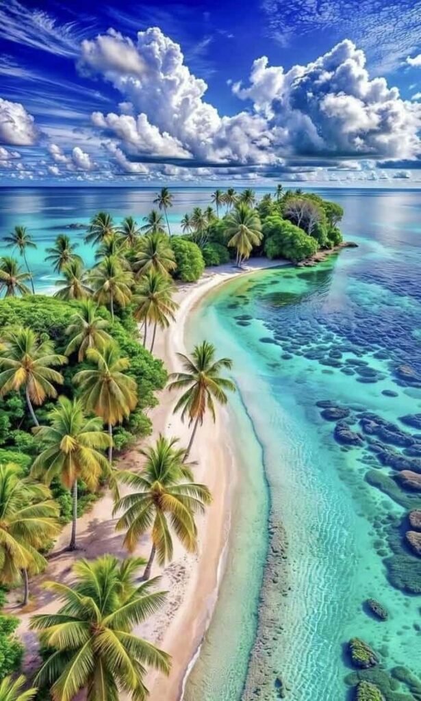 Hình ảnh nền bãi biển nhiệt đới mát