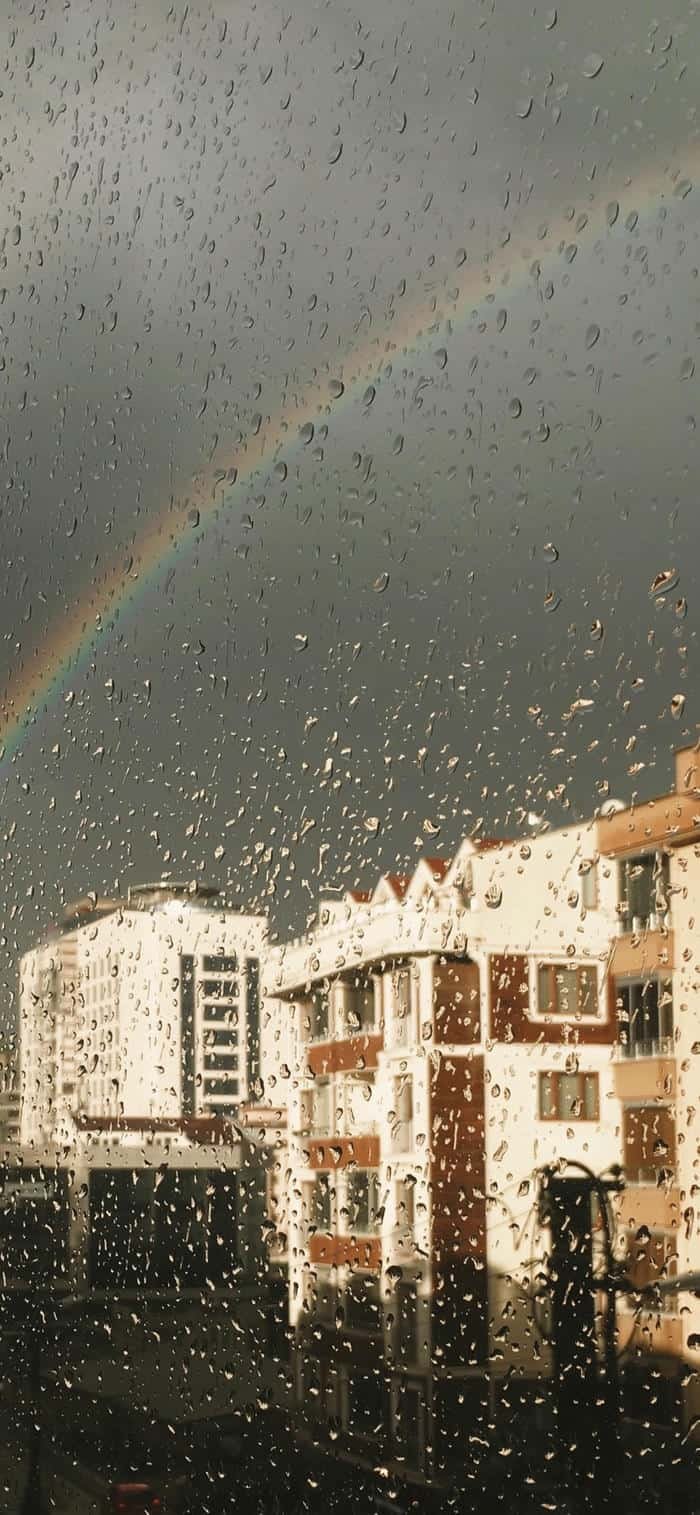 Hình ảnh nền mưa lãng mạn nên thơ