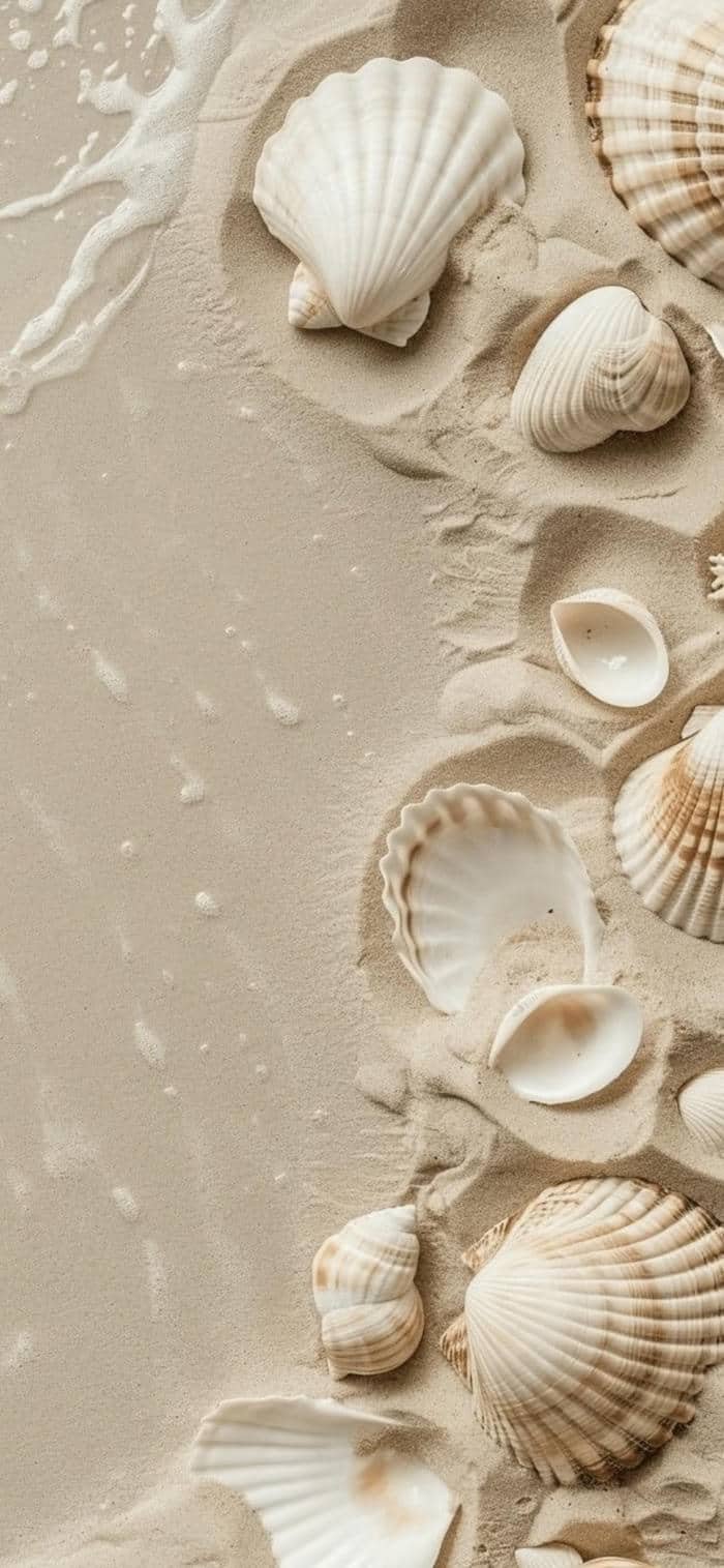 Hình ảnh nền nude cát mịn trên biển