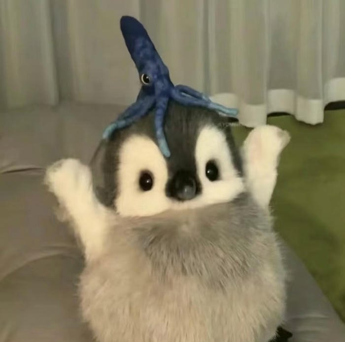 Hình avatar con vật dễ thương trẻ trung