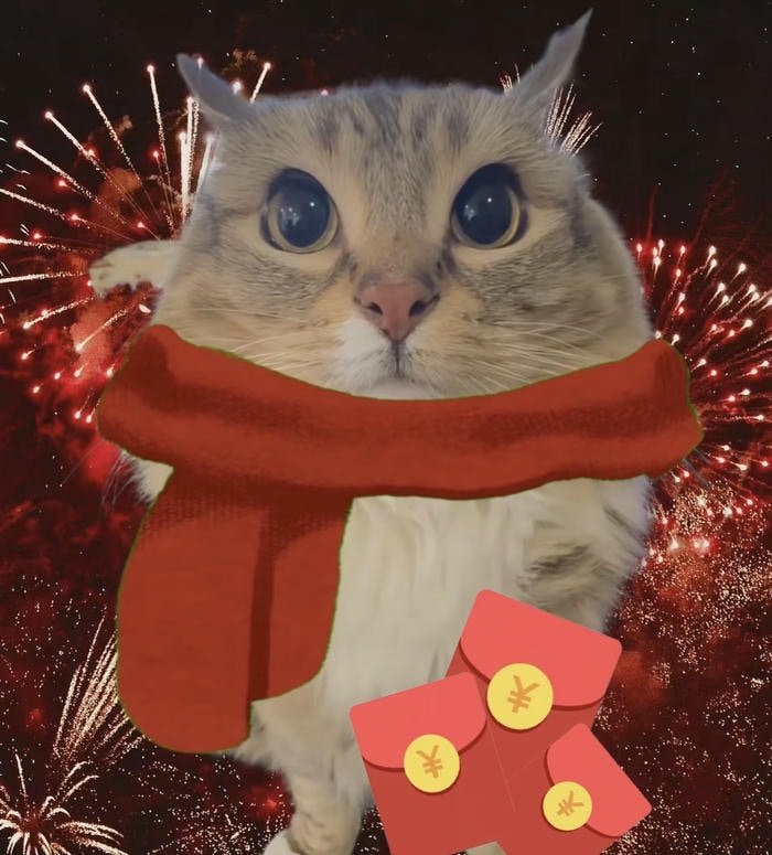 Hình avatar meme vui nhộn biểu cảm mạnh