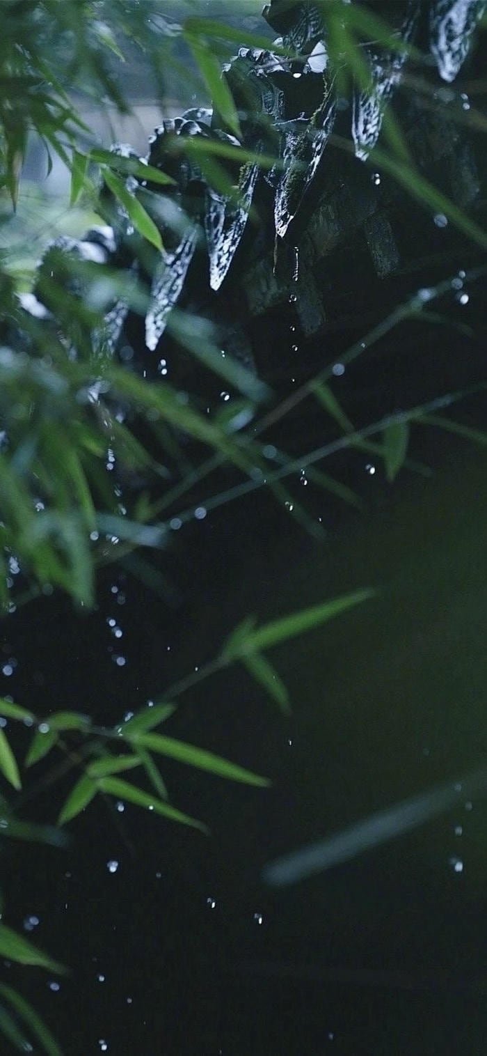 Hình mưa lãng mạn buổi chiều