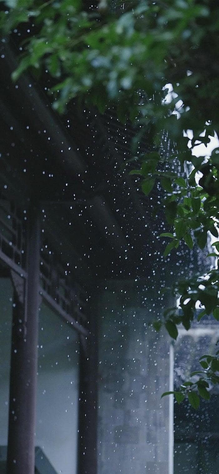 Hình mưa lãng mạn đặt làm nền