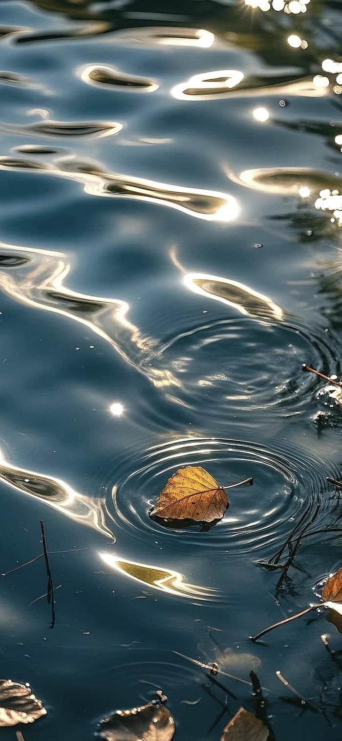 Hình nền mặt hồ yên bình tối giản