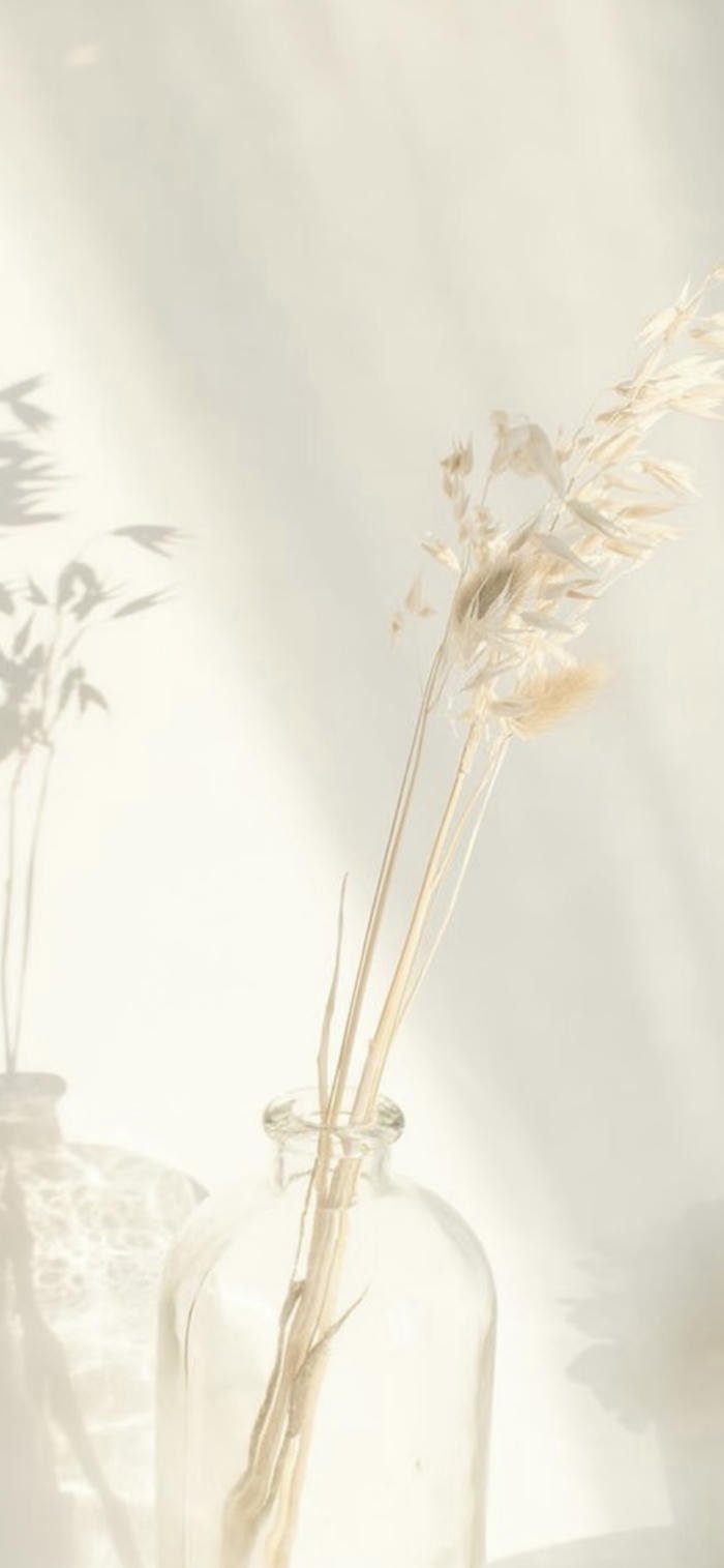 Hình nền màu nude lọ hoa hiện đại