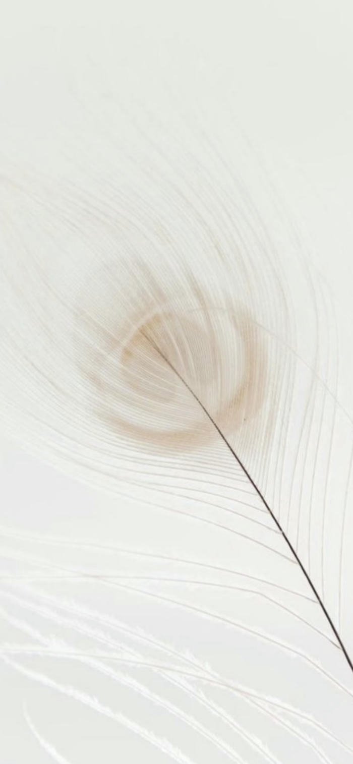 Hình nền màu nude tinh tế thanh lịch