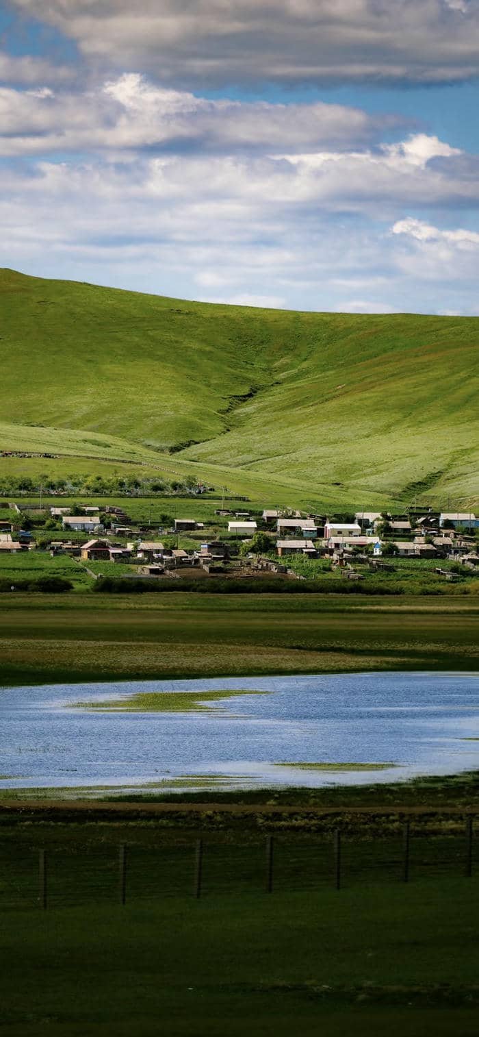 Hình nền thảo nguyên xanh lá