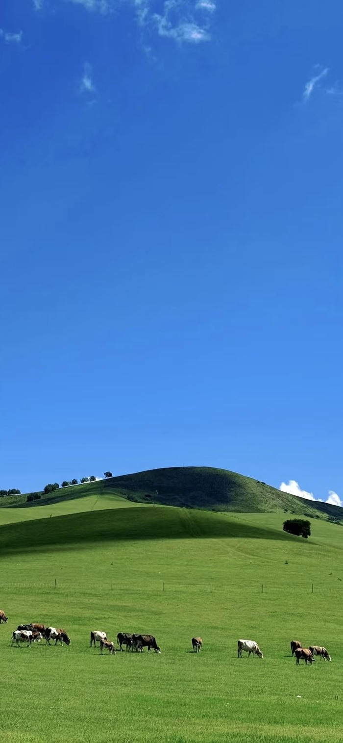 Hình nền thảo nguyên xanh trong trẻo