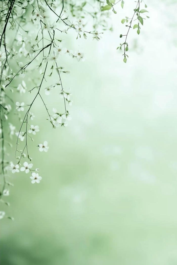 Hình nền xanh ngọc dịu mắt mát