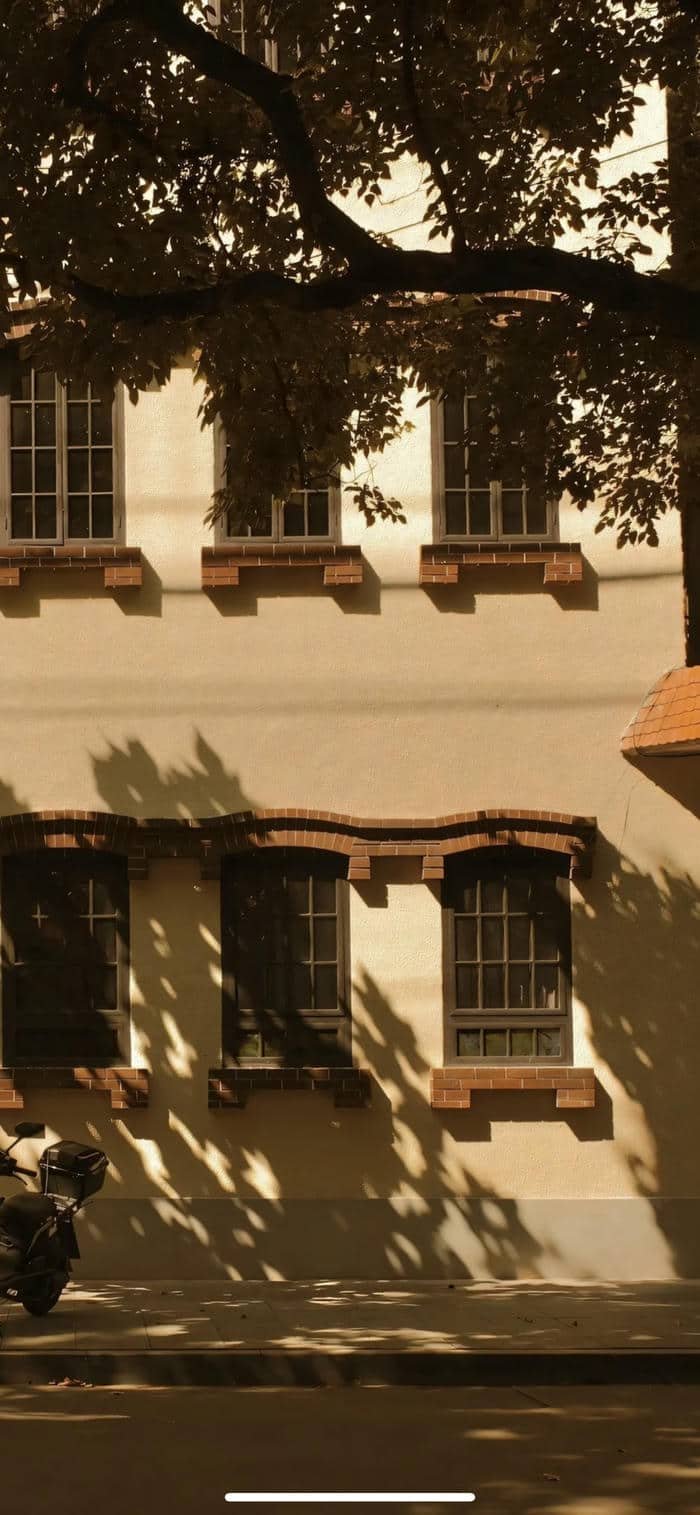 Nền màu nude sang trọng ánh sáng trời