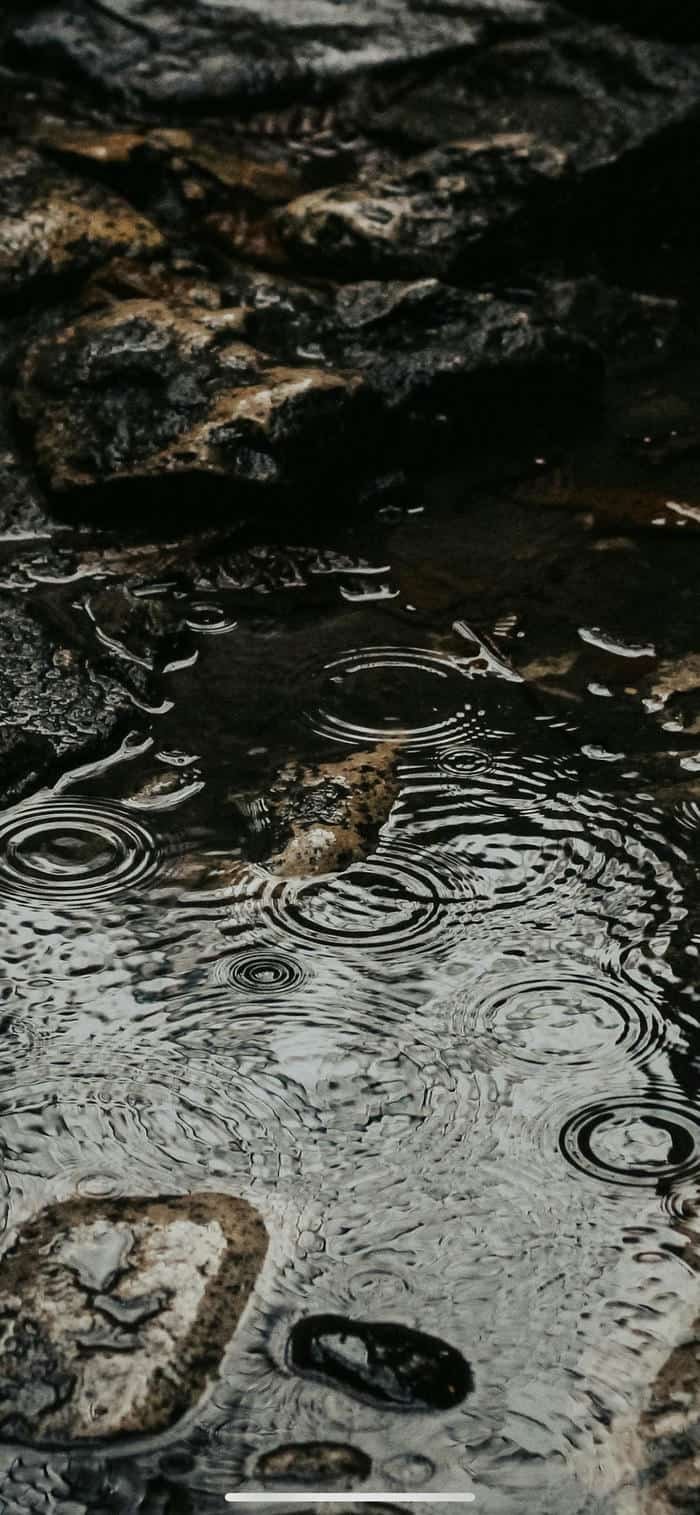 Nền mưa lãng mạn bình yên