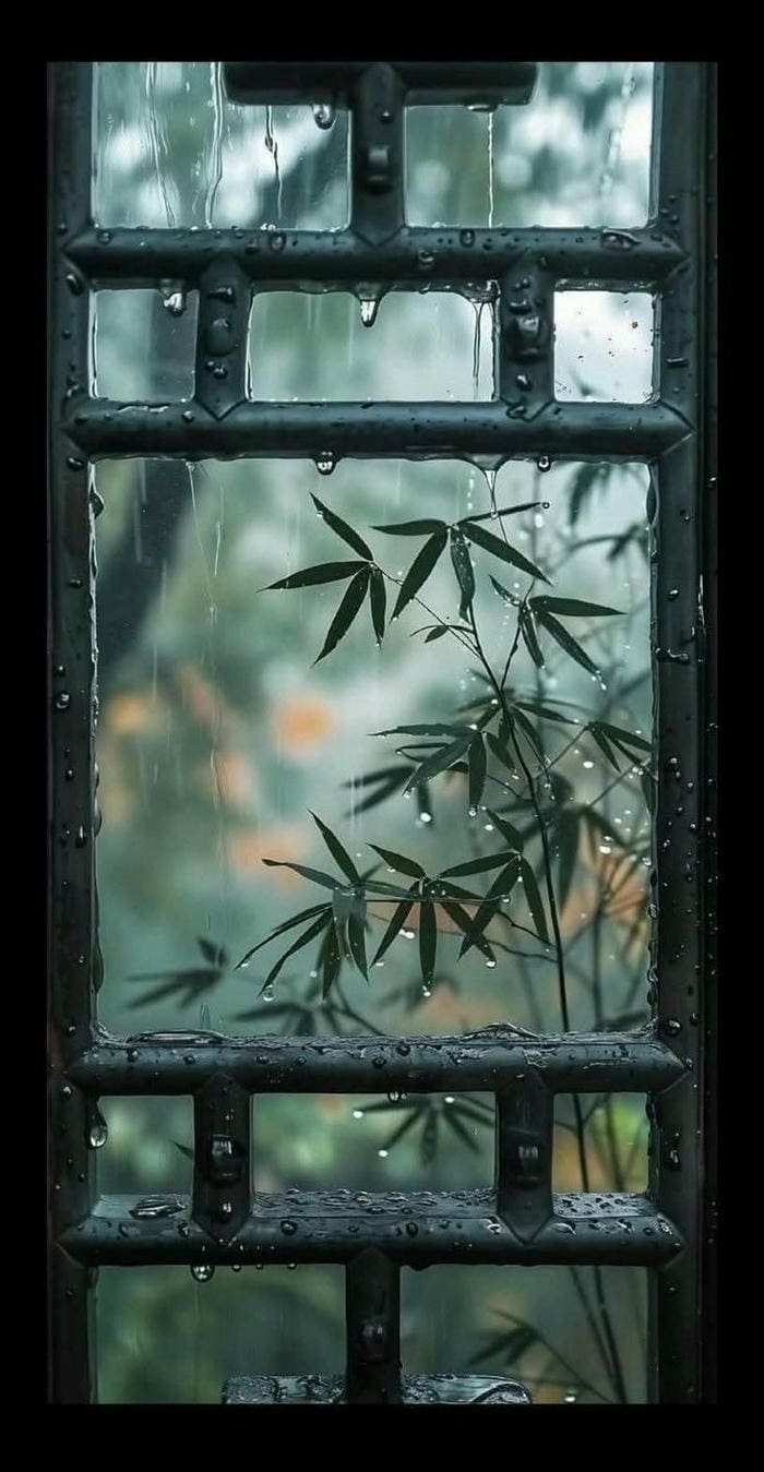 Nền mưa lãng mạn dịu êm