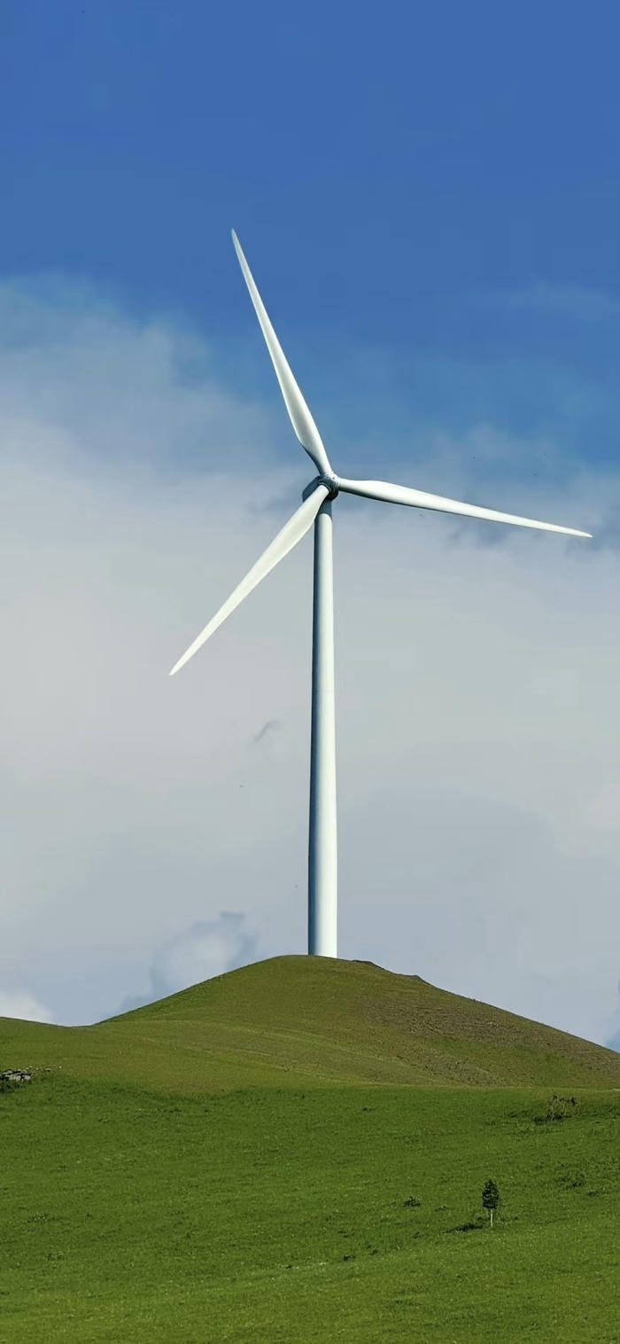 Nền thảo nguyên xanh có quạt gió