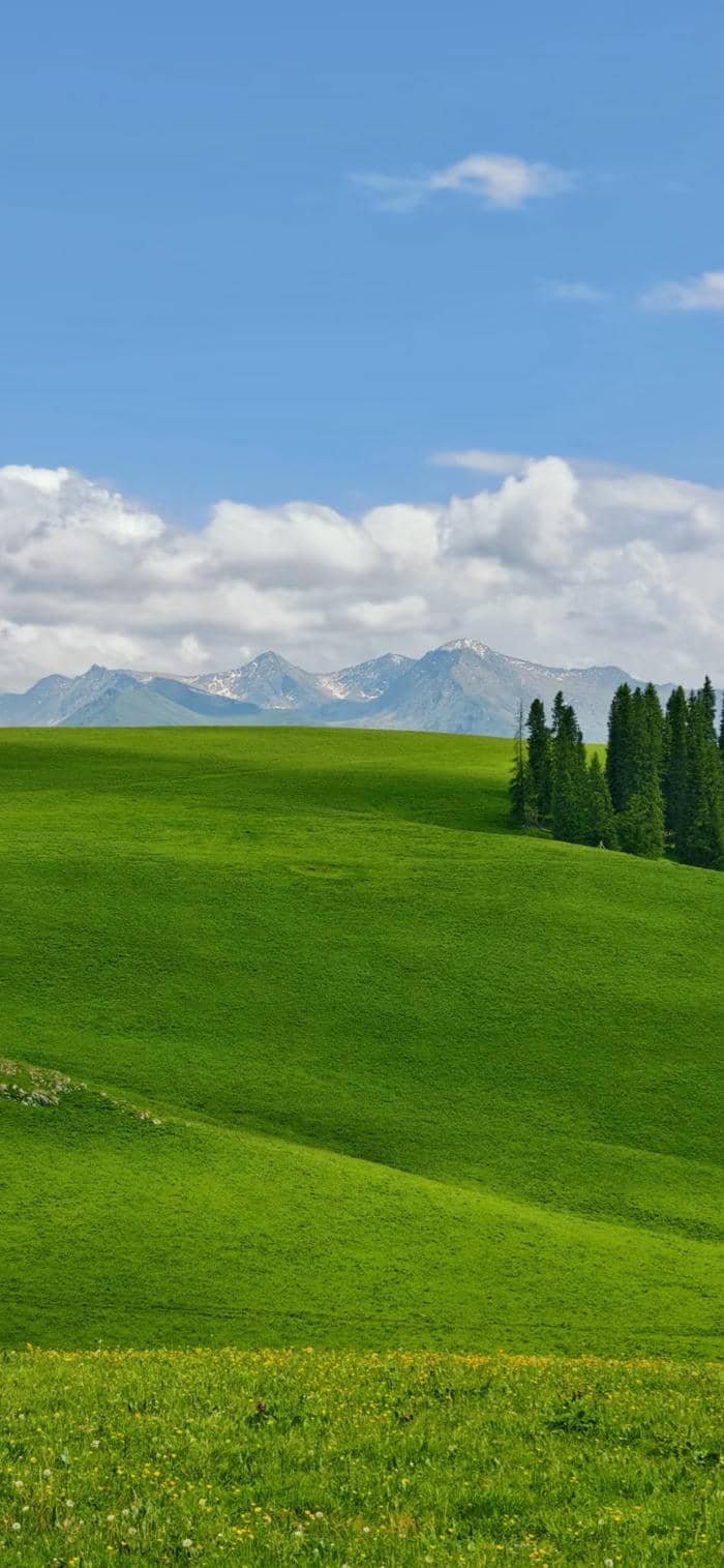 Nền thảo nguyên xanh mát dịu