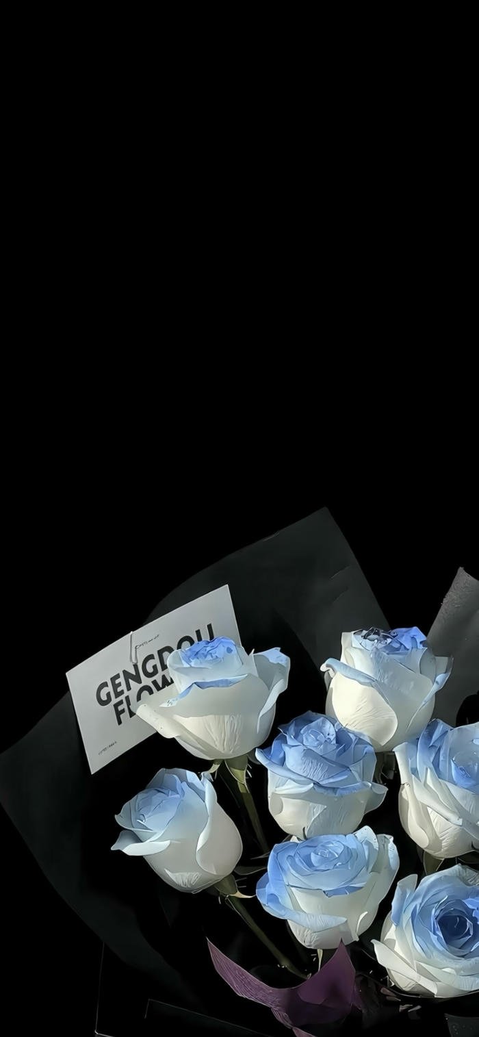 Nền tối hoa hồng sang trọng đẹp