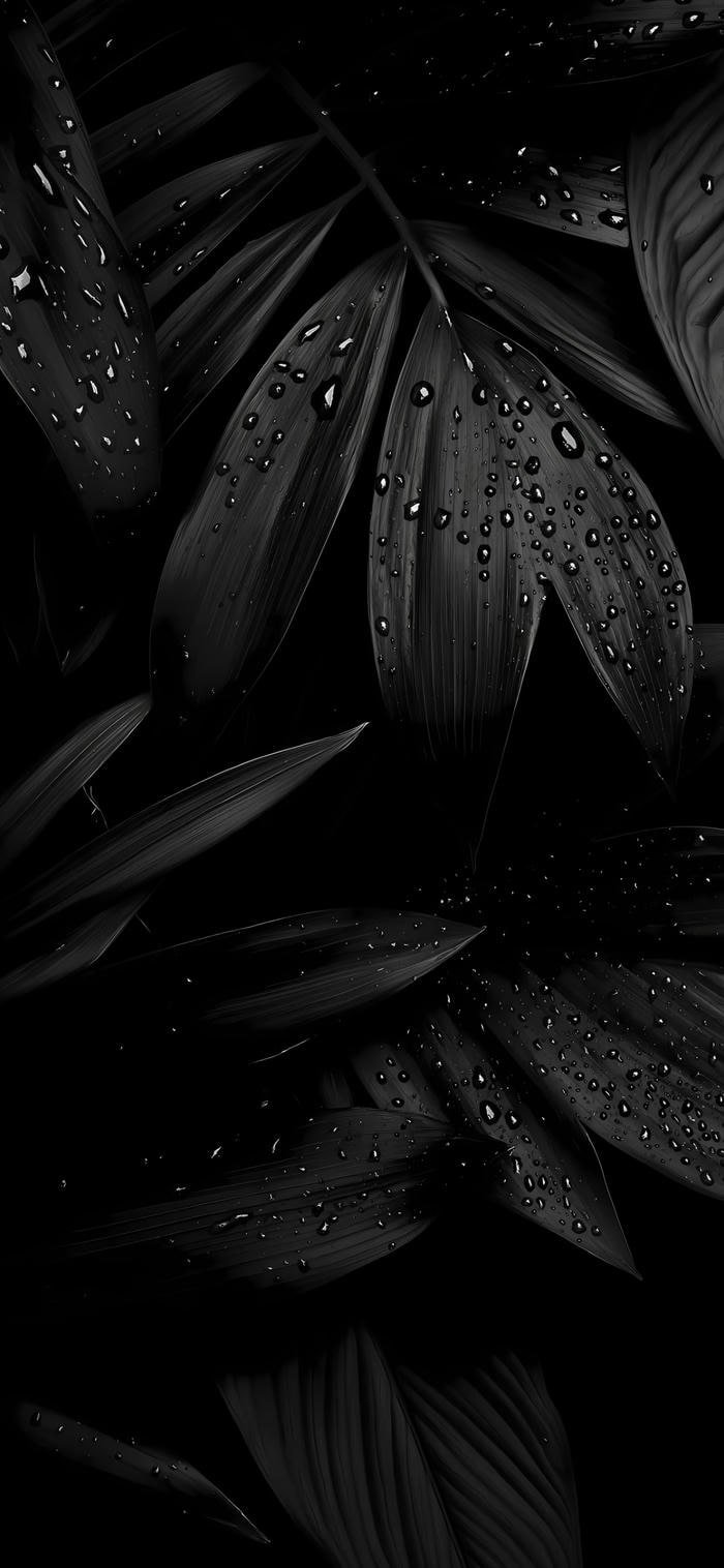 Nền tối sang trọng nhiều lá