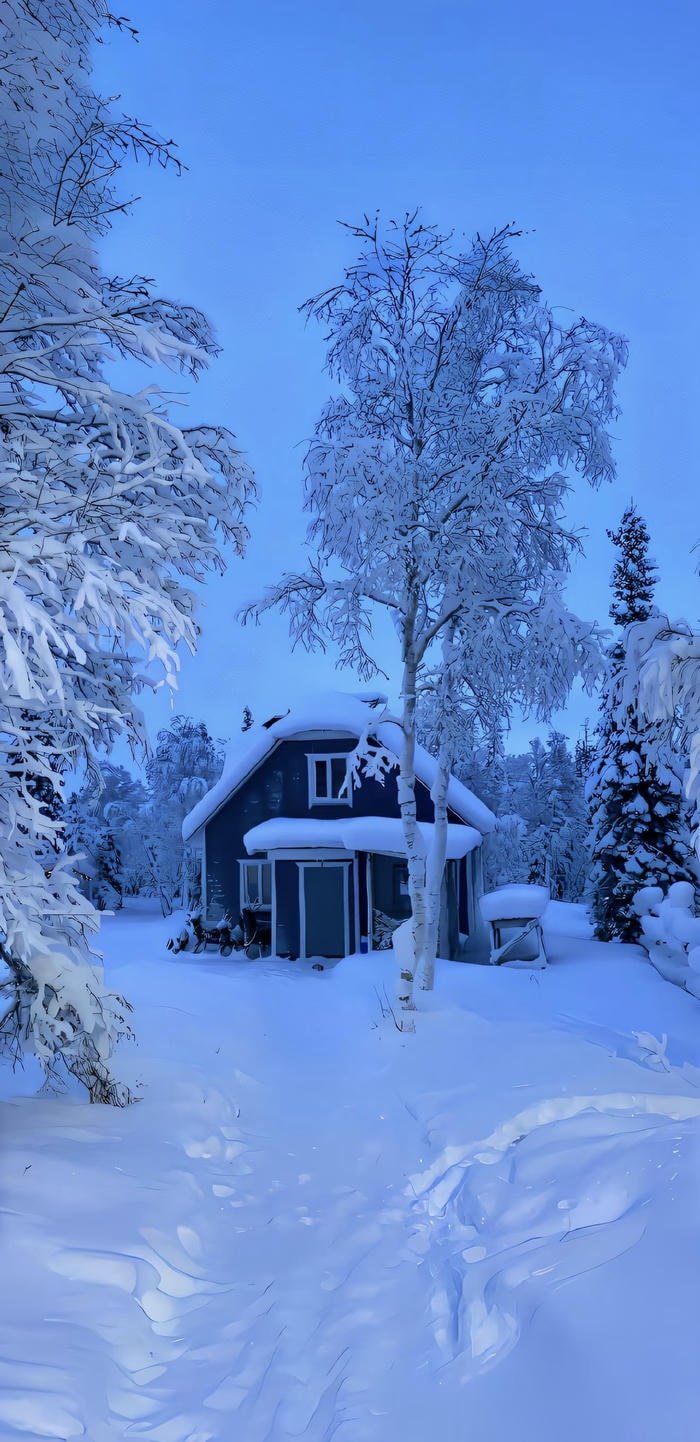 ảnh cánh đồng tuyết mênh mông