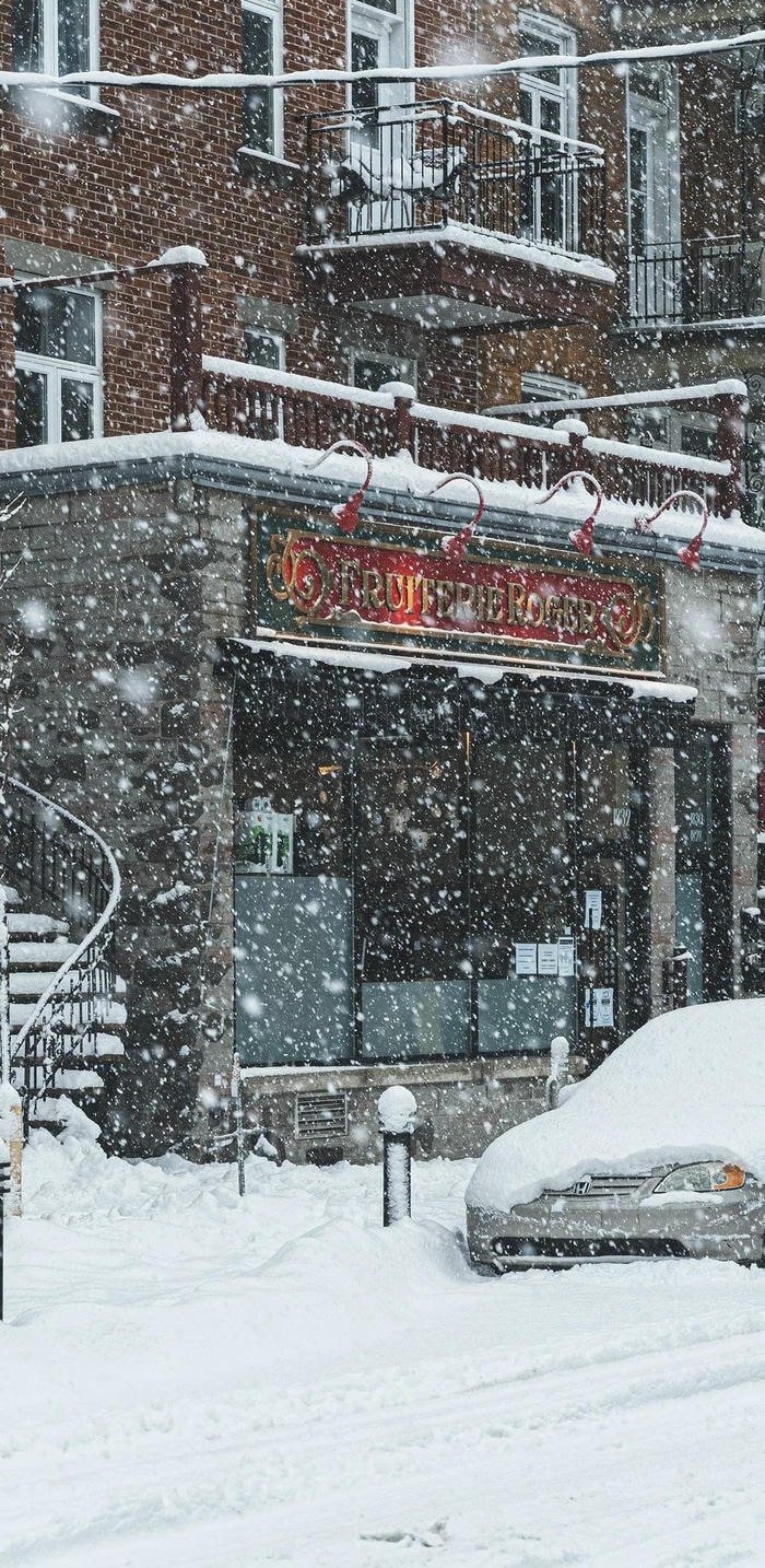 ảnh công viên phủ tuyết