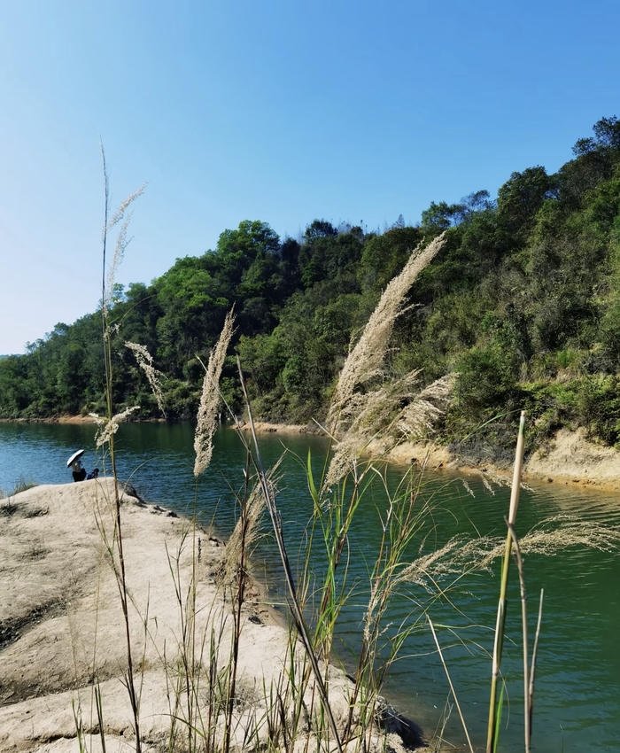 ảnh mặt nước yên ả