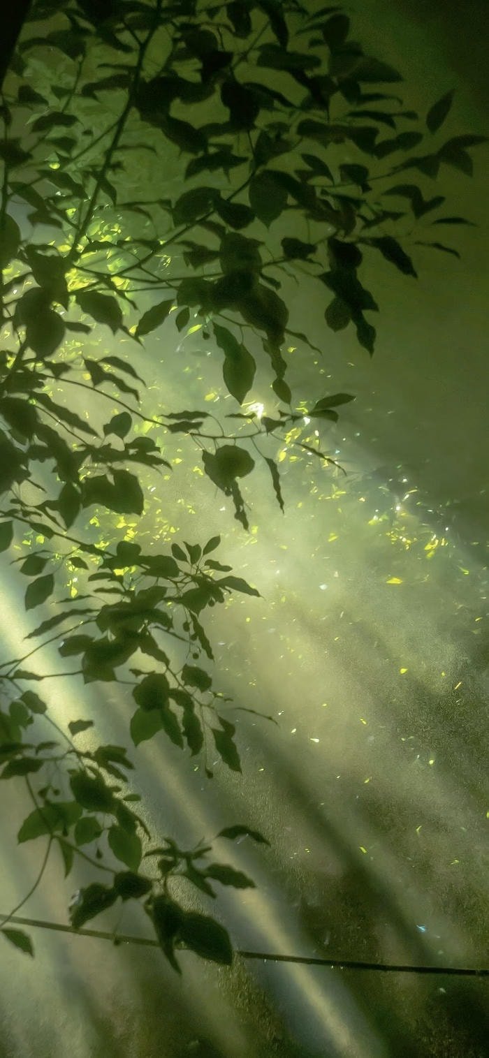 ảnh nền ánh sáng năng lượng huyền ảo