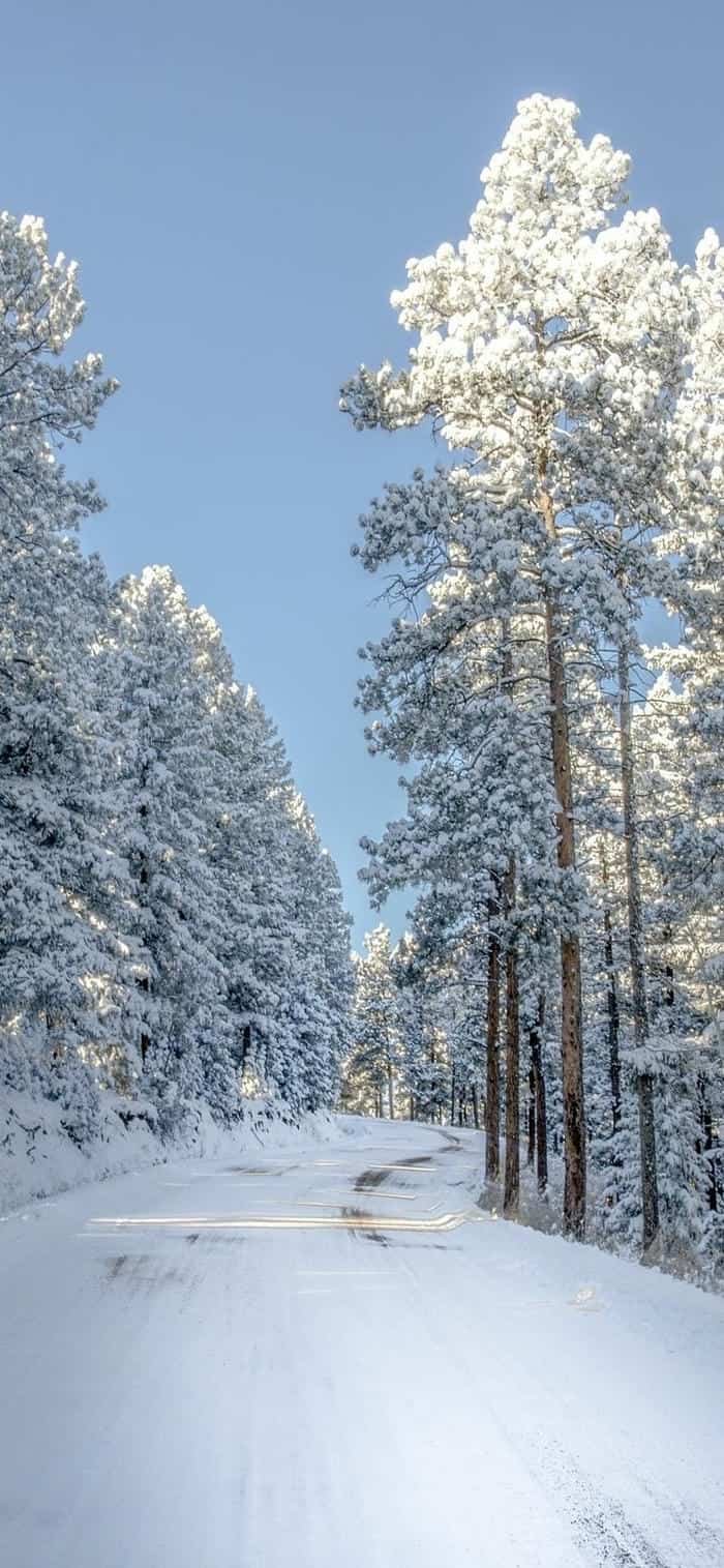 ảnh nền đồi tuyết trắng đẹp không tì vết