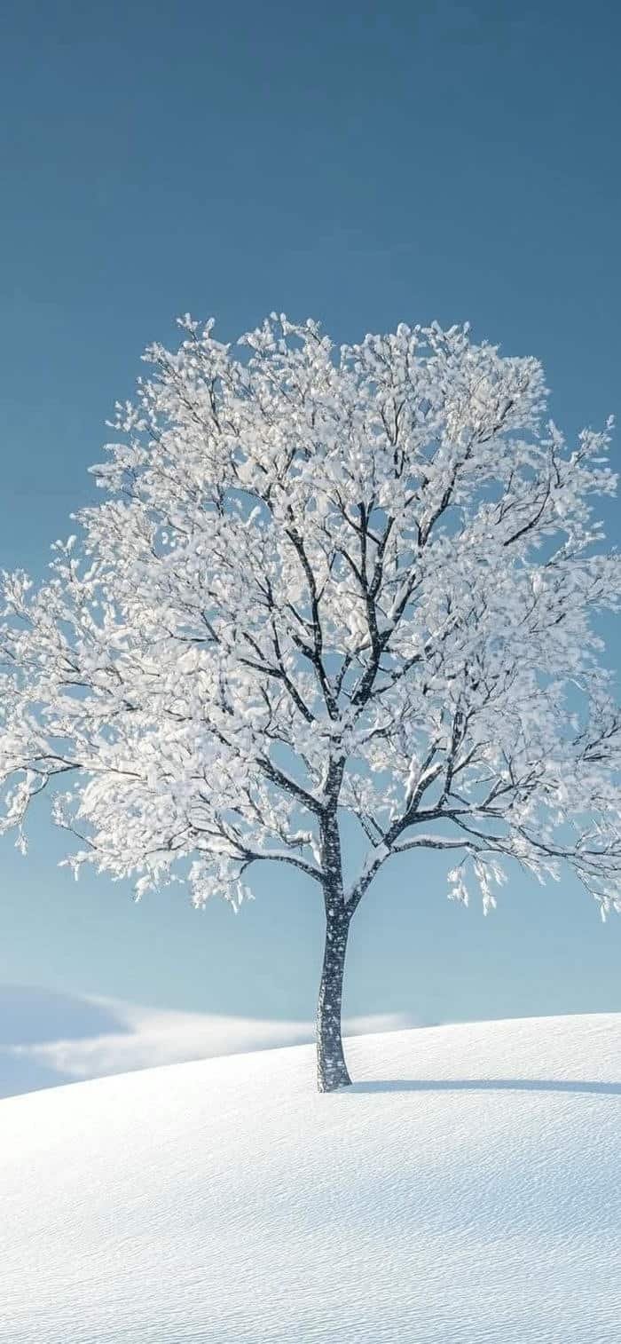 ảnh nền đồi tuyết trắng hoang vu đẹp