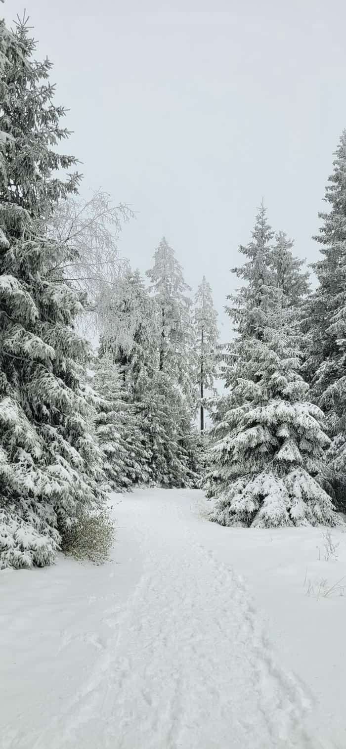 ảnh nền đồi tuyết trắng phủ tuyết dày