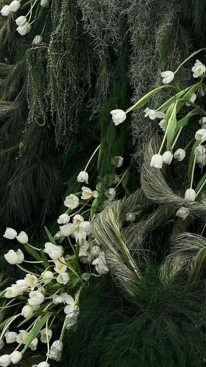 ảnh nền hoa dại vintage cực đẹp