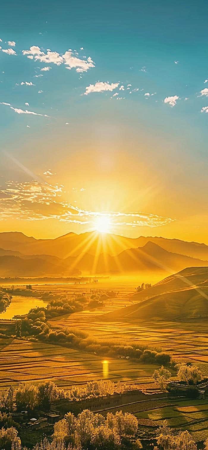 ảnh nền mặt trời mọc bao phủ những đồng ruộng