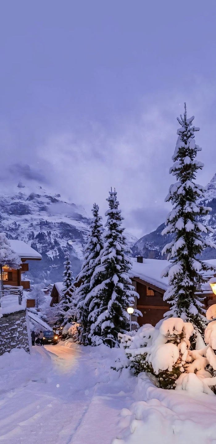 ảnh phong cảnh tuyết đẹp