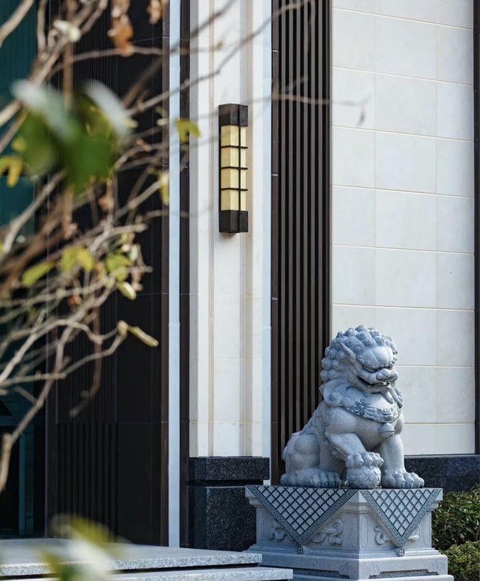 ảnh sư tử mang khí mạnh