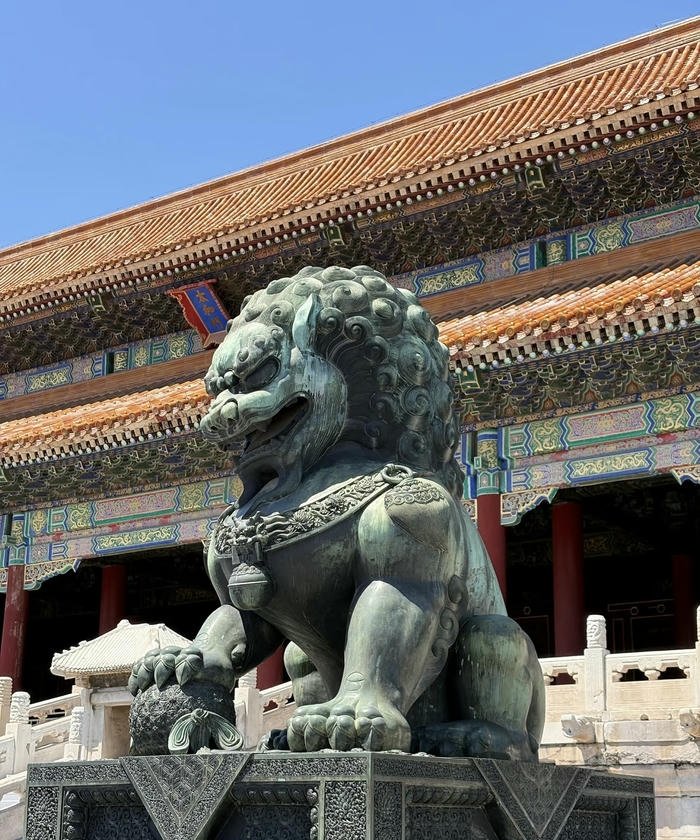 ảnh sư tử phong thủy tạo điểm nhấn