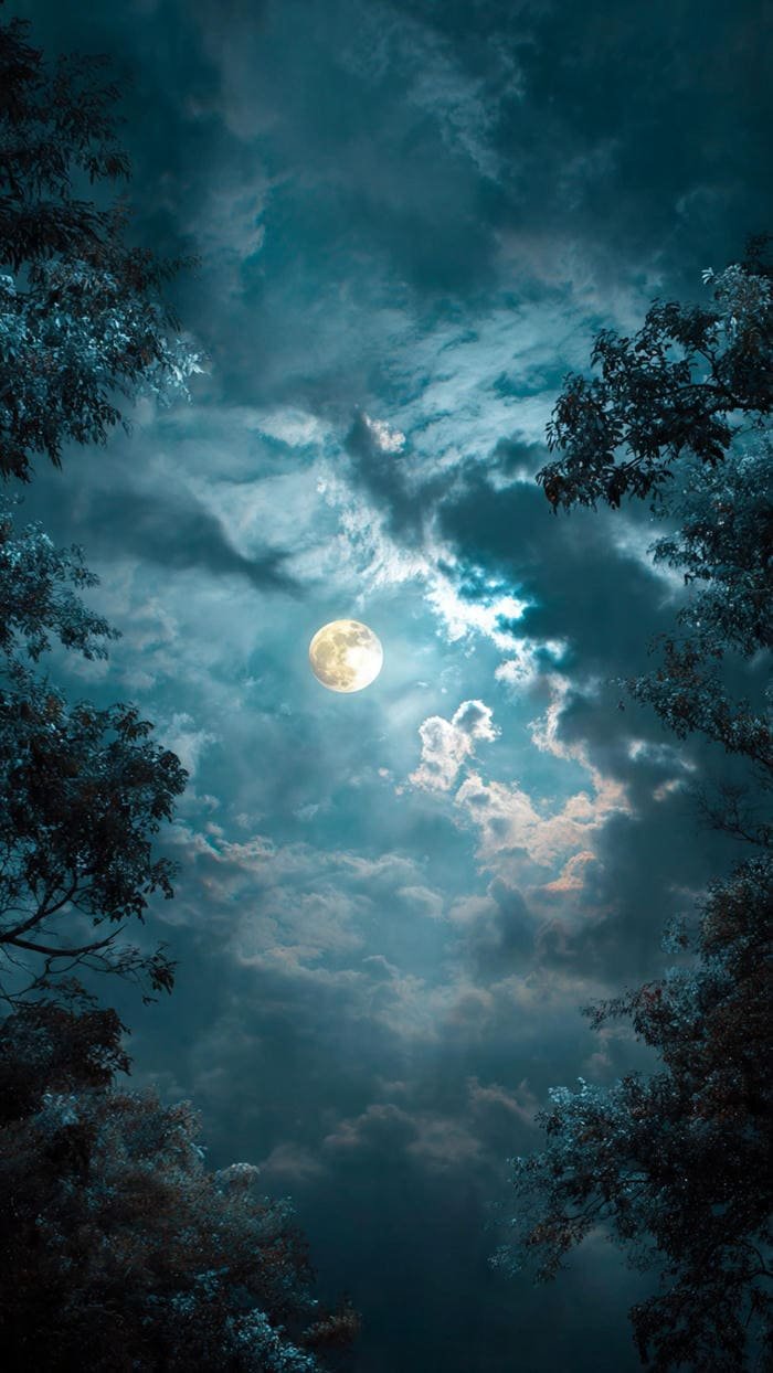 ánh trăng dịu lạnh