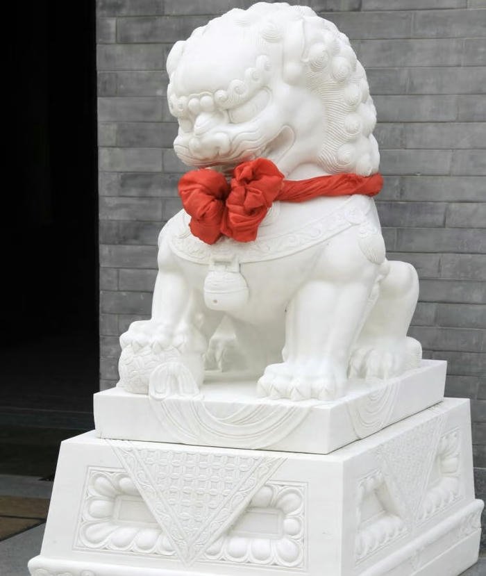 ảnh tượng sư tử uy nghi