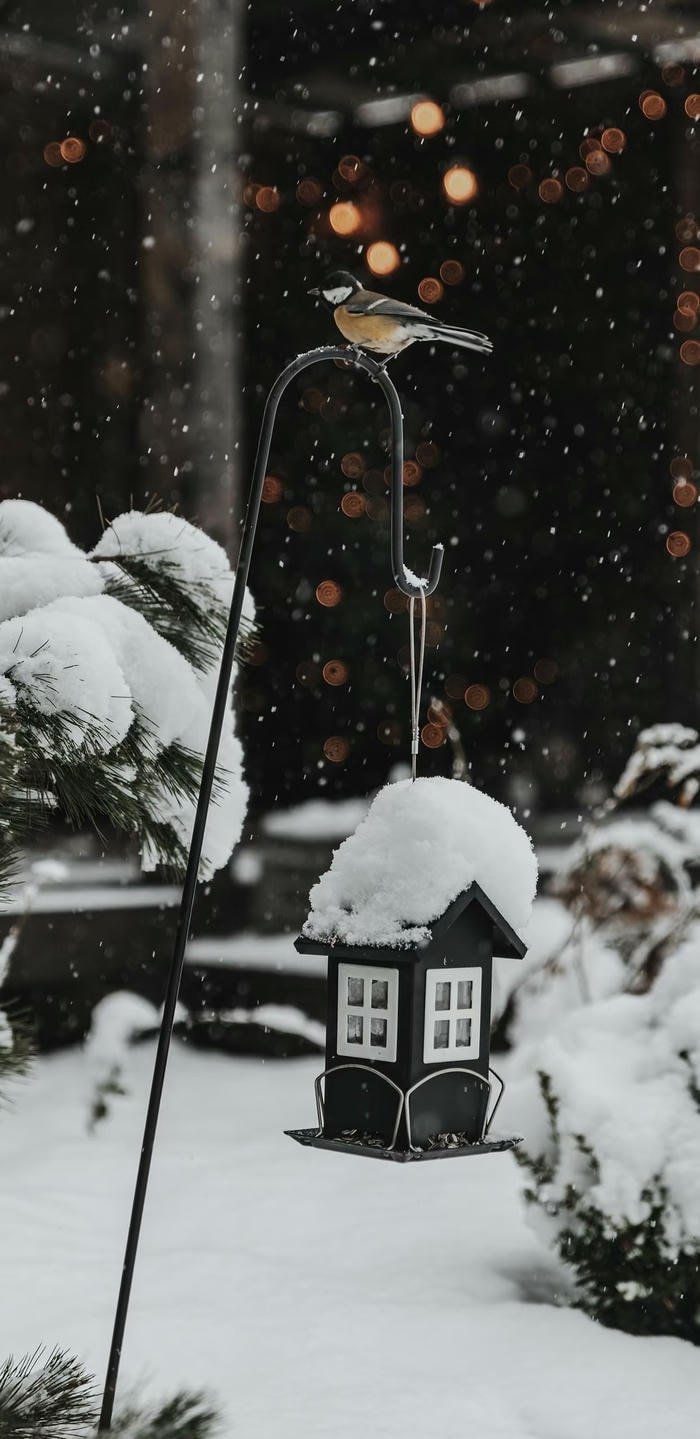 ảnh tuyết rơi bên cửa sổ