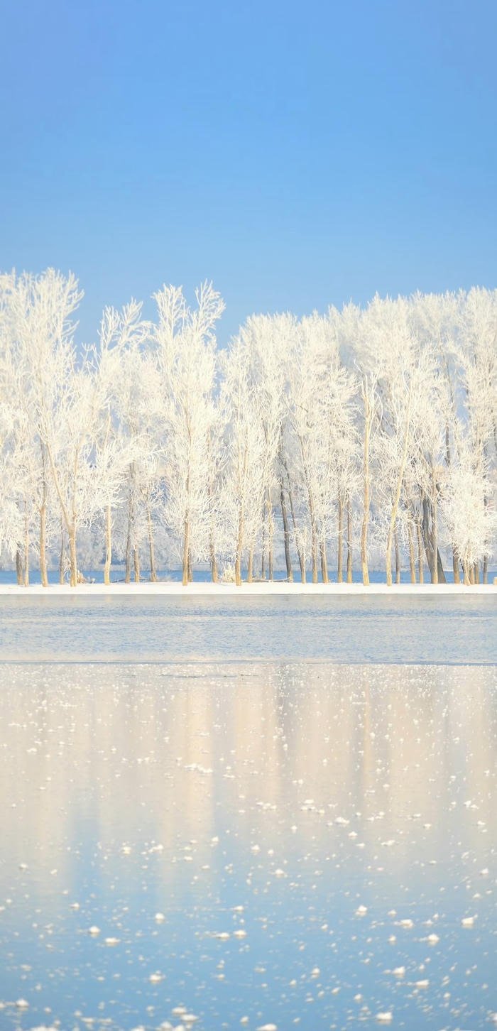 ảnh tuyết rơi bên hồ