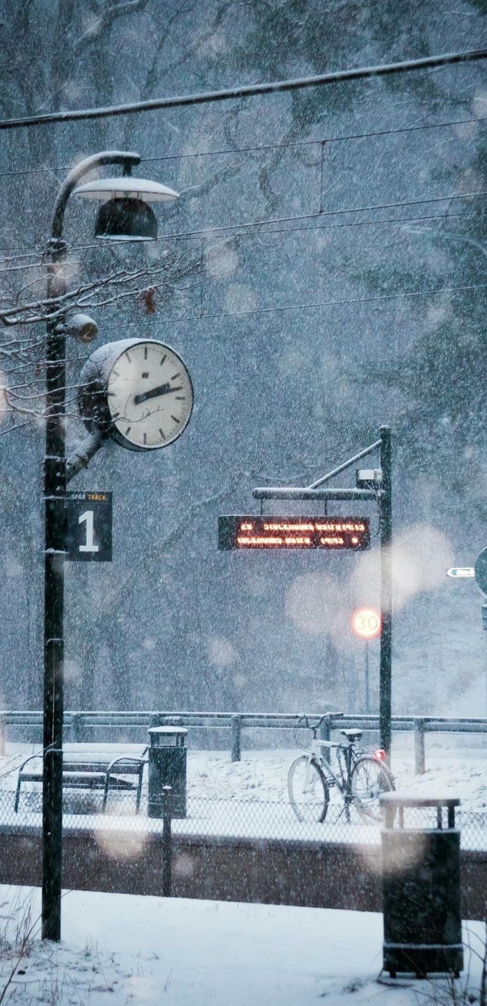 ảnh tuyết sáng sớm