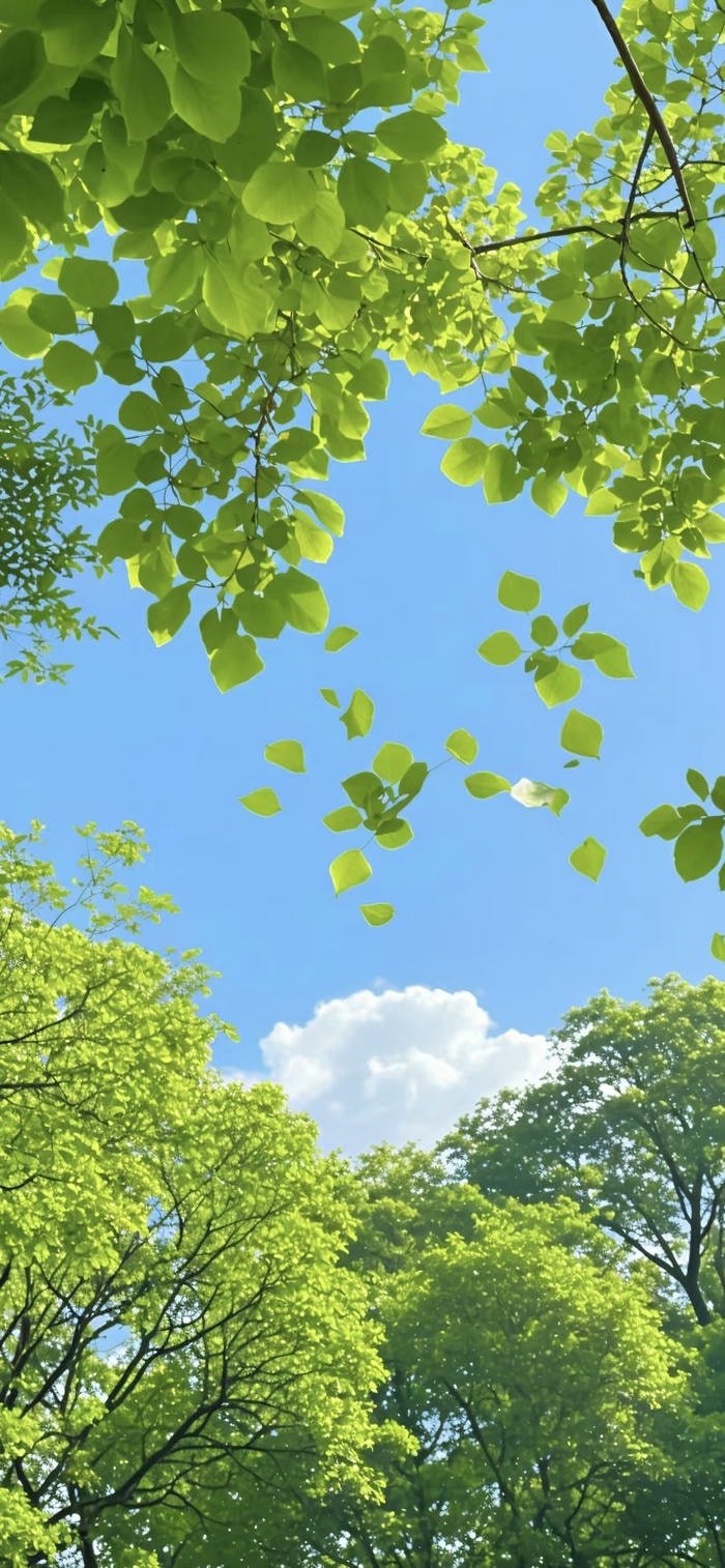 bộ sưu tập hình nền lá rừng xanh