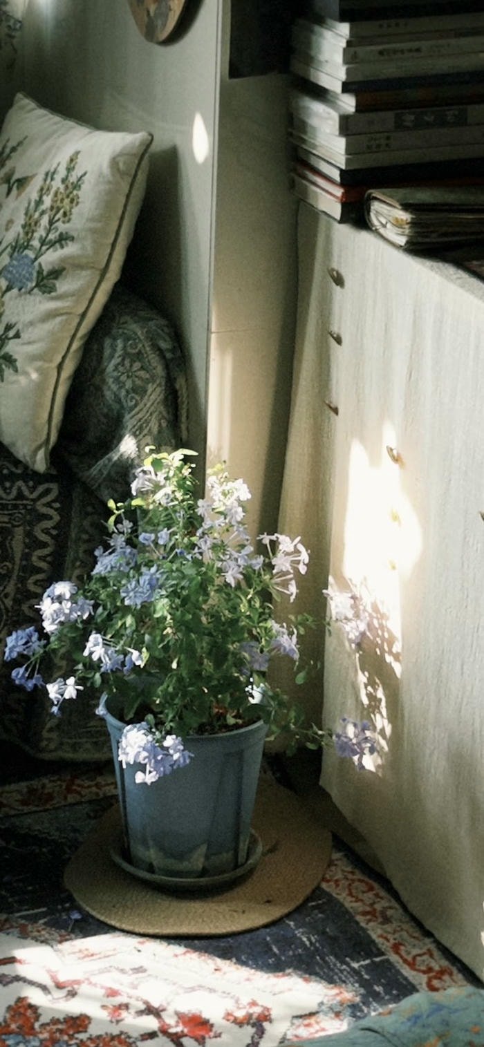 bộ sưu tập hình nền retro minimal