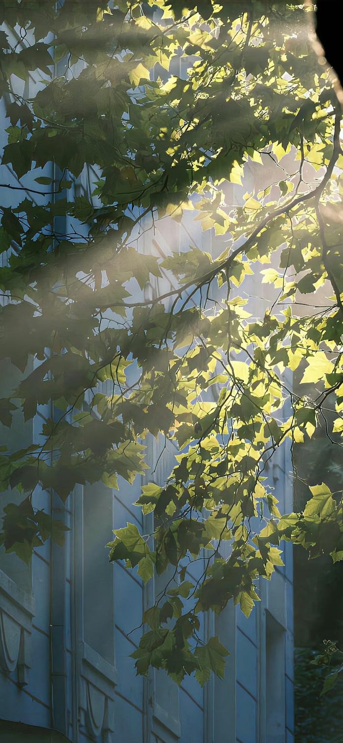 các ảnh nền ánh sáng năng lượng ảo diệu