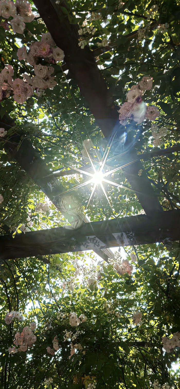 các ảnh nền ánh sáng năng lượng rực rỡ hd