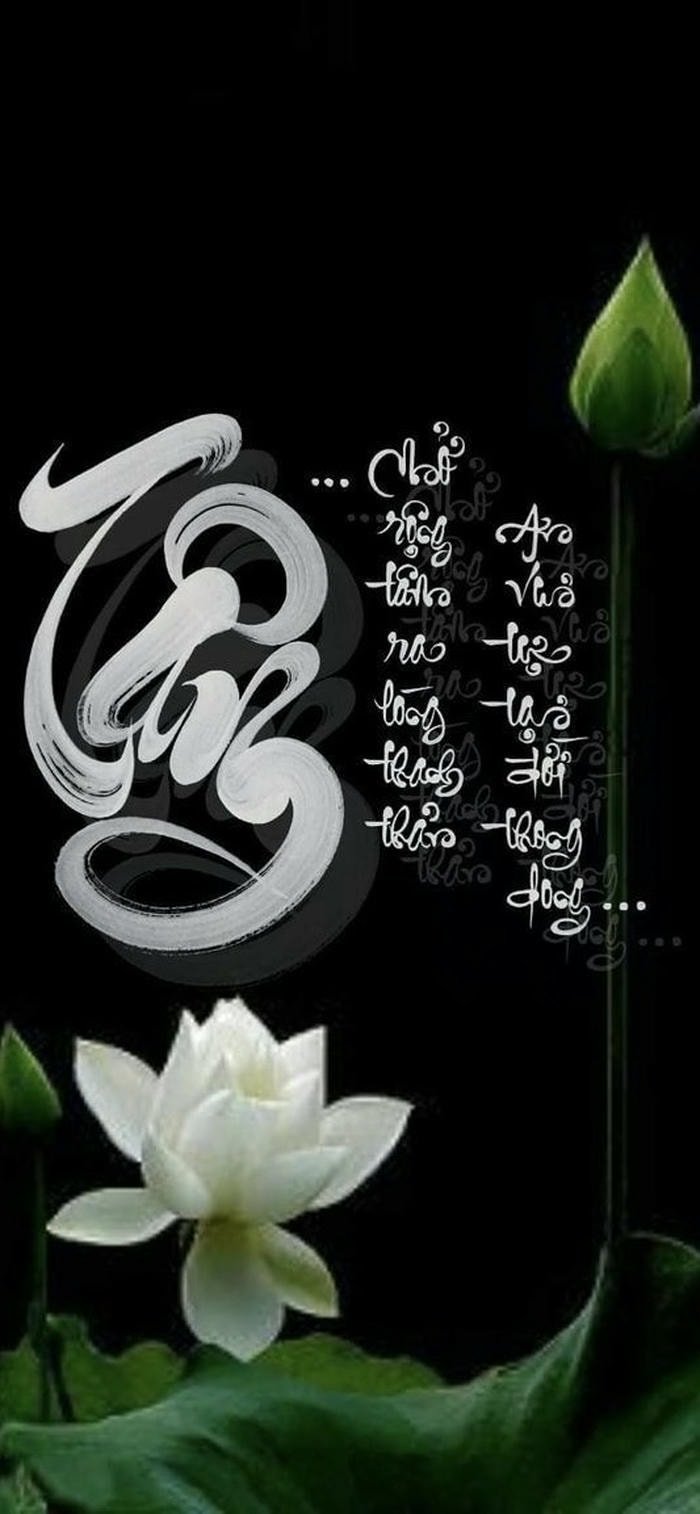 các hình nền chữ ý nghĩa sâu sắc